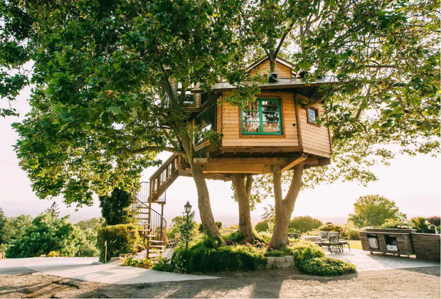 California Vacation Home Rentals for Families: Sleep in a treehouse