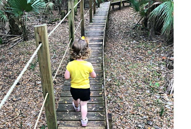 Trout Lake Nature Center Cat Walk