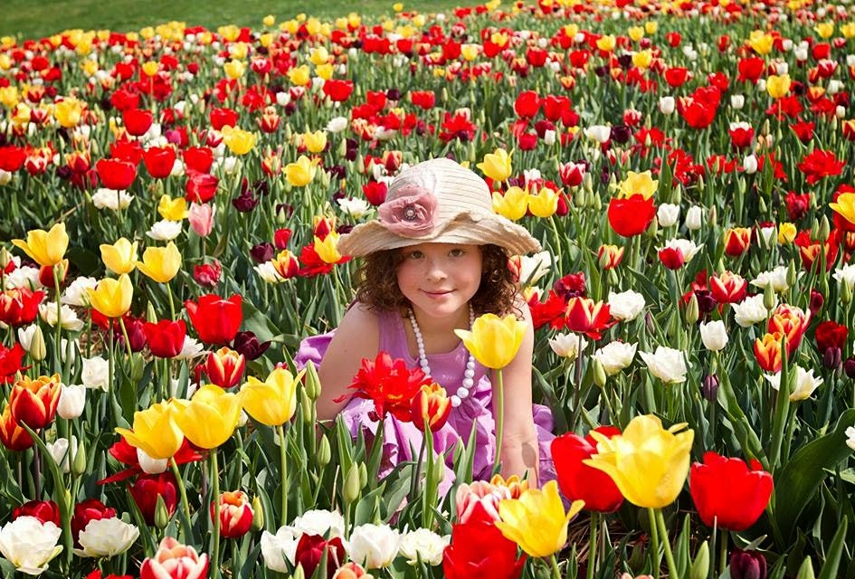 Weekend Fun for LI Kids: Tulip Fest, PortFest, Fleece & Fiber Fair, May 16-17