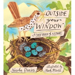 Outside My Window: A First Book of Nature