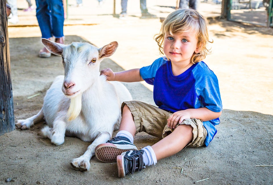 Things To Do in LA this Weekend: Abbot Kinney, Underwood Farms, Watts Tower Photo courtesy of Underwood Family Farms