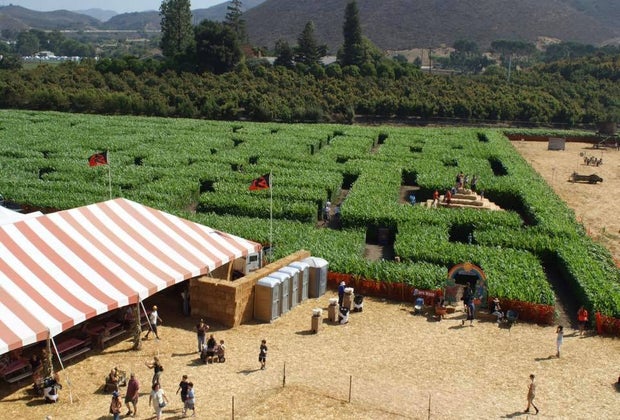 Underwood Family Farms is simply aMAZEing