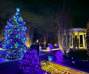 Untermyer Gardens Conservancy's Grand Holiday Illumination has become a Yonkers tradition.  Photo courtesy of the conservancy