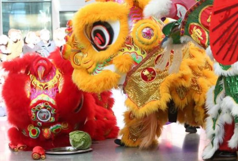 Lunar New Year Celebration
