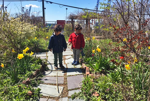 Things to do in Red Hook, Brooklyn with kids: Kids in Urban Meadow 