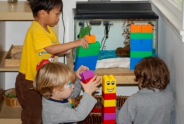 Montessori Preschools in Los Angeles: Montessori by the Sea