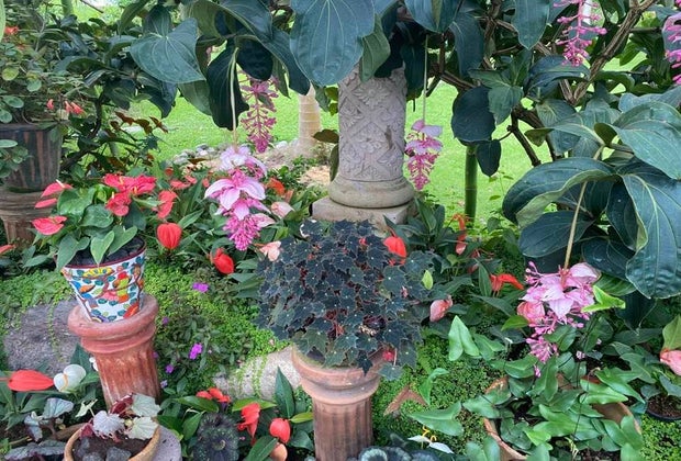 Vallarta Botanical Garden Puerto Vallarta with Kids: 21 Best Things To Do in Puerto Vallarta, Mexico