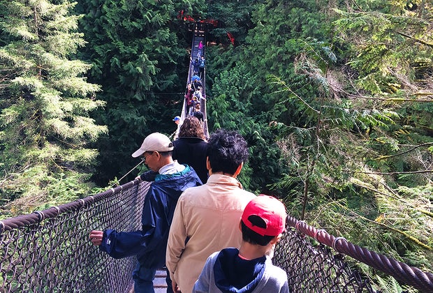 Best Things To Do in Vancouver, BC: Lynn Canyon Park