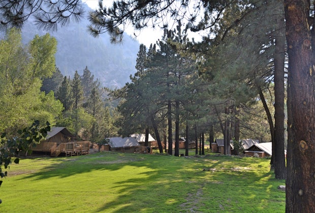 Huttopia Paradise Springs, the Best New Glamping near Los Angeles: an oasis in the woods