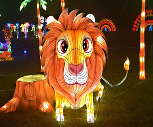 Catch the last weekend of the Vernon Lights Festival. Photo courtesy of the festival