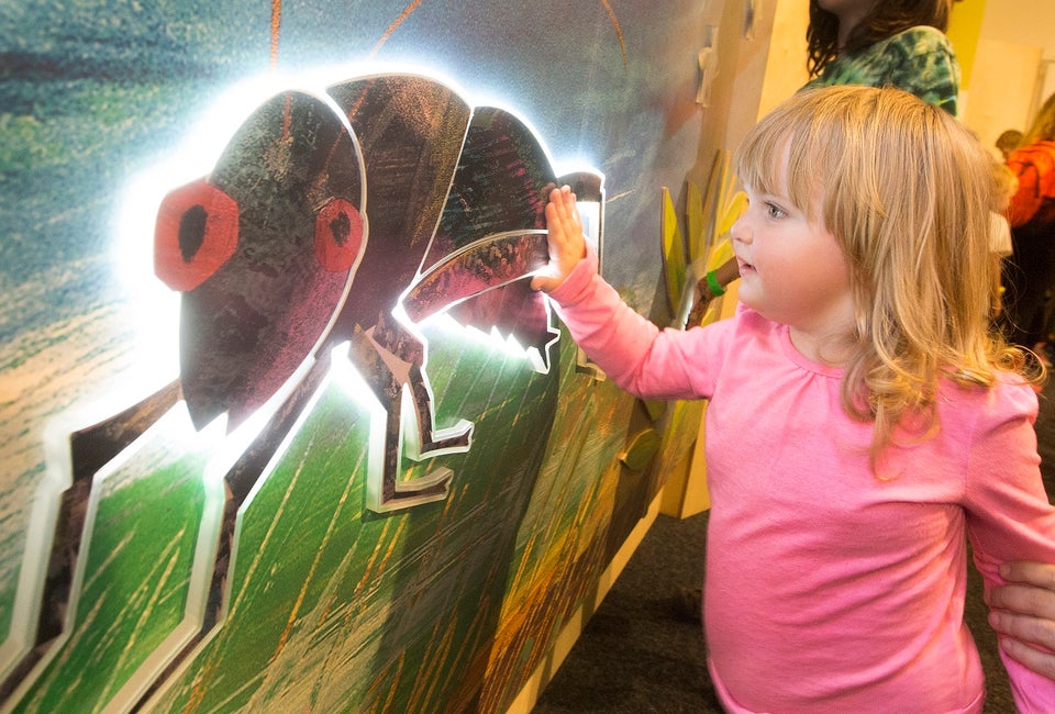 Get hands on at the Very Eric Carle exhibit. Photo by Larry Rippel