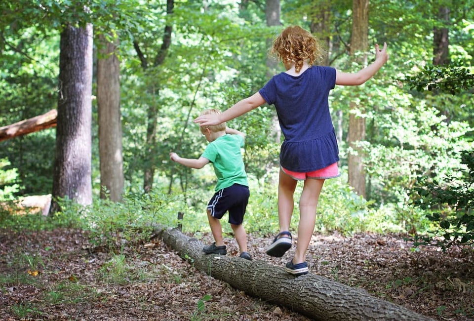 Hiking the forests of the Shenandoah Valley. Photo courtesy of Virginia State Parks
