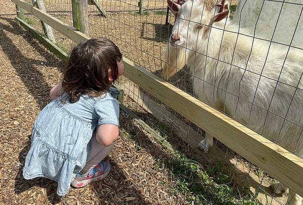 Waterdrinker Family Farm: Girl with goat