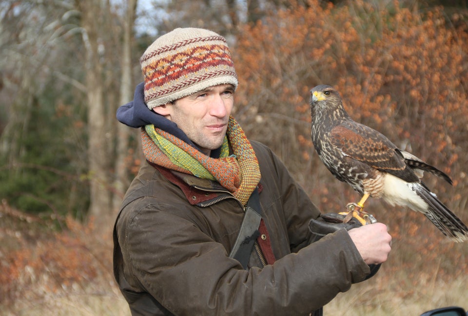 A Birding Adventure Celebrating October Big Day