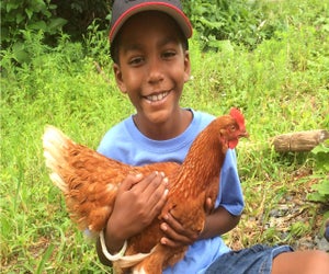 Making new friends at Waltham Fields Community Farm. Photo courtesy of the farm