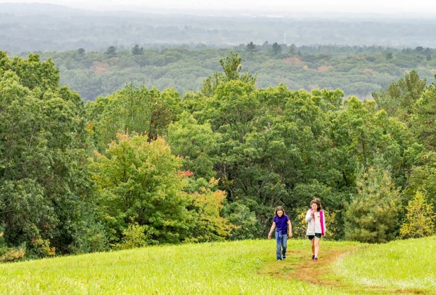 12 Great Places To Hike with Kids around Boston: Ward Reservation