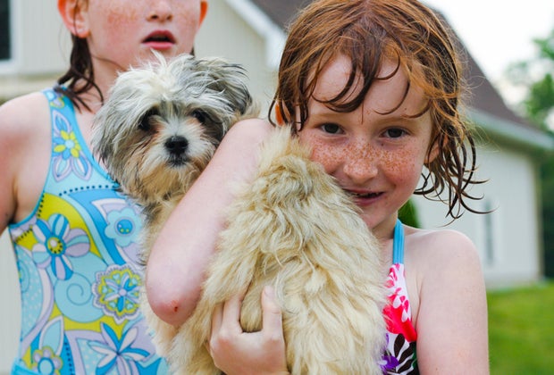 Best Pets for Kids: Dogs