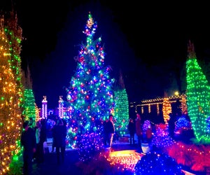 Untermyer Garden's Grand Holiday Illumination runs nightly from Saturday, December 7 to New Year's Day. Photo courtesy of Untermyer Gardens
