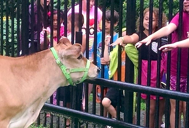 Forsyth Park and Zoo: Best Parks and Playgrounds in the Hudson Valley