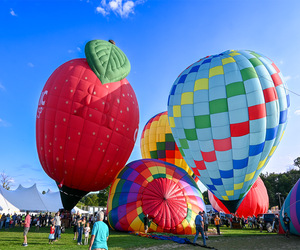 Gaze at the rainbow-hued hot-air balloons as they are inflated and take to the sky during the Hudson Valley Hot-Air Balloon Festival and book your own balloon ride. Photo courtesy of the festival