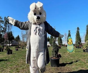 Head to the orchards for an Easter egg hunt at Harvest Moon. Photo courtesy of Harvest Moon