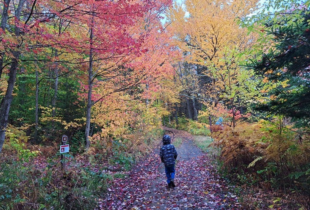 Heart Lake : Family hikes to view fall leaves