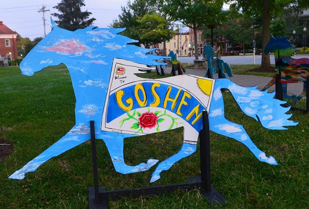 Goshen with kids trotters scattered around town