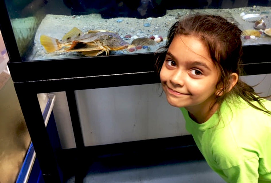 Kids can peek into the marine life in the aquariums at the Marine Education Center in Mamaroneck. Photo by Susan Miele