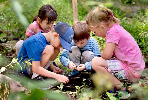 Things To Do in Rye with Kids: Rye Nature Center