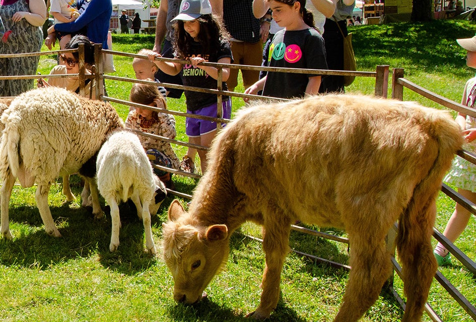 Best Spring Festivals in Westchester and the Hudson Valley for Families The Sheep and Wool Festival in Chestnut Ridge features crafts, a petting zoo, pony rides, and more. Photo courtesy of the event