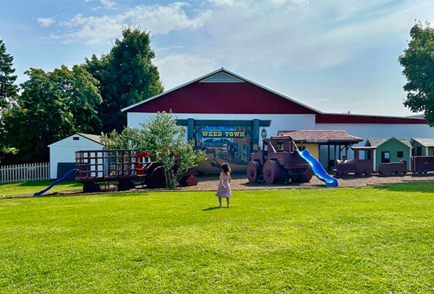 Weed Orchards & Winery: grass and playground