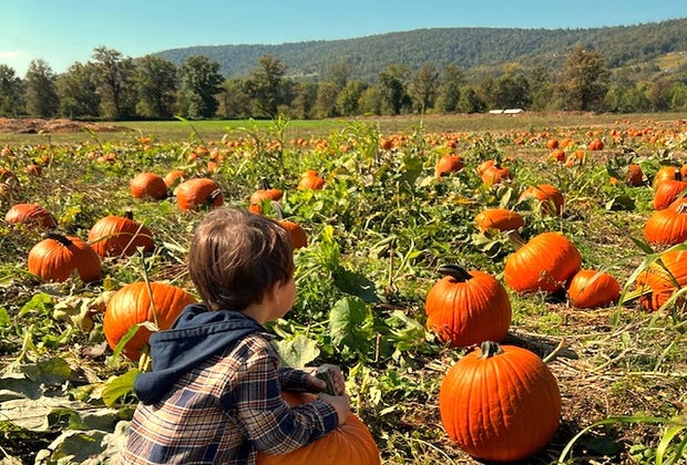 Great Country Farms, Loudoun County