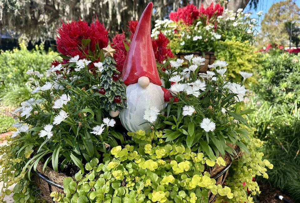 Holidays at Leu Gardens