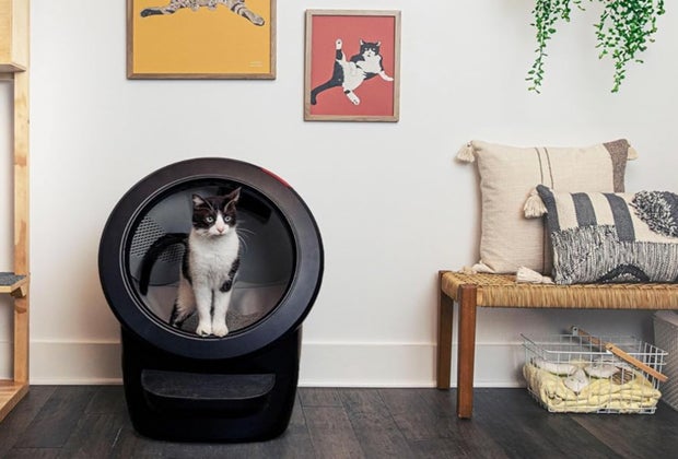 The Whisker robot cat litter cleaner with a happy cat using it.
