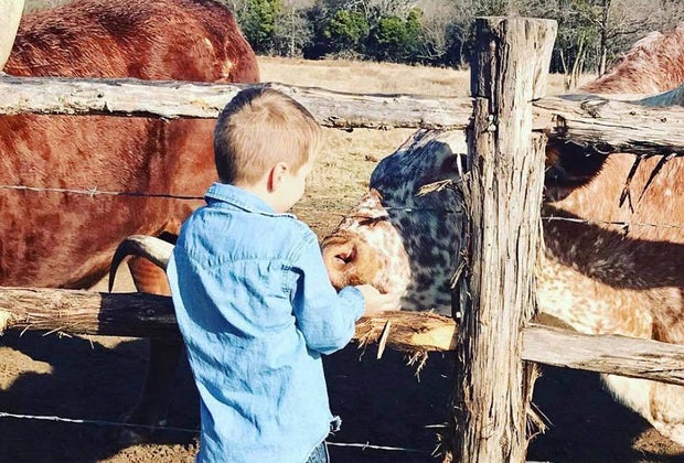 Best Dude Ranch Vacations for Families: Wildcatter Ranch