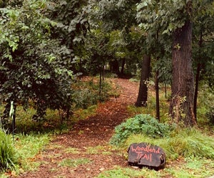 Visit the urban woodland on Randall's Island to make all things fairy: wands, wings, and little fairy houses. Photo courtesy of NYC Parks