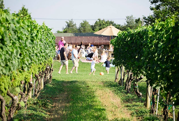 Family-Friendly Wineries on Long Island's East End: Wölffer Estate Vineyard
