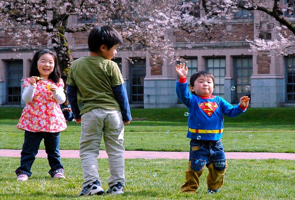 The famous DC cherry blossoms will make the whole family smile. Photo courtesy of Wonderlane Photography, Flickr Attribution 2.0 Generic 
