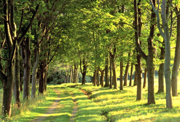 12 Great Places To Hike with Kids around Boston: World's End