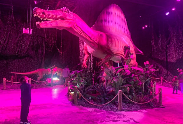 Dinos Alive: Immersive Experience in Washington, DC: Spinosaurus