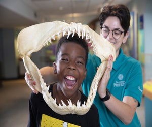 Photo courtesy of Academy of Natural Sciences of Drexel University