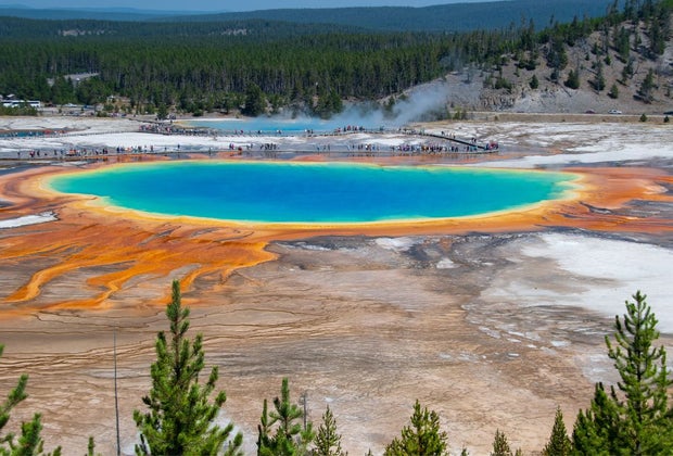 gorgeous, colorful pools at Yellowstone national park.