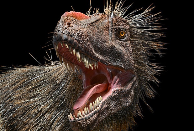 Feathered ‘Dinosaurs Among Us’ Opens at Natural History Museum