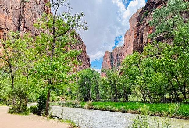 Zion National Park: A Guide for Families: Pa’rus Trail at Zion