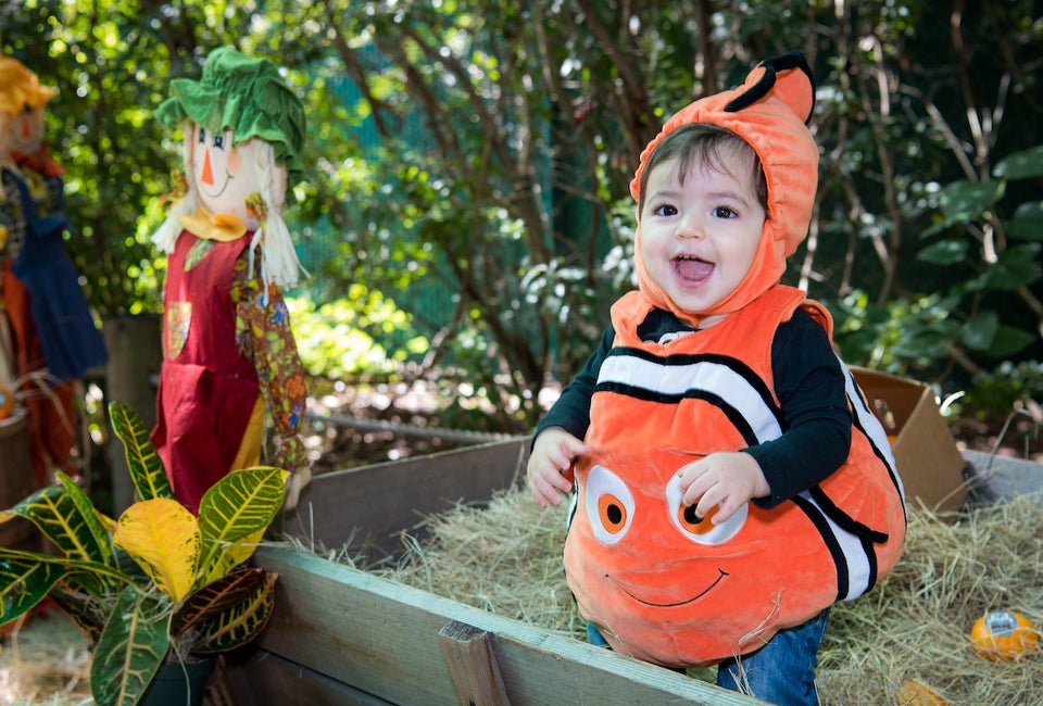 Zoo Boo is one of our favorite Halloween events for younger kids. Photo courtesy of Houston Zoo