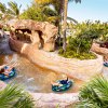 Aquaventure, Atlantis's gigantic water park, has a slide for every thrill level.