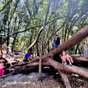 Bonnet Springs Park in Lakeland makes the the perfect outdoor day trip.