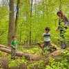 Take a hike with your little one on a family day trip from NYC.