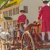 Take a carriage ride through the streets of Colonial Williamsburg. 