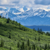 Most families that visit Denali National Park either hop on a non-narrated transit bus to explore the park or book one of the Denali National Park tours.  Photo via Canva